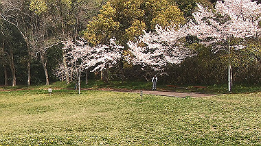gx016054.mp4_snapshot_00.00_thumb.jpg