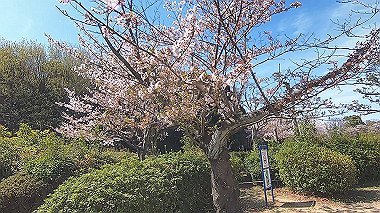 gx016058.mp4_snapshot_00.00_thumb.jpg