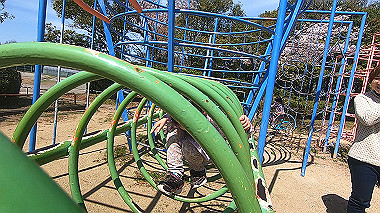 gx016060.mp4_snapshot_00.00_thumb.jpg