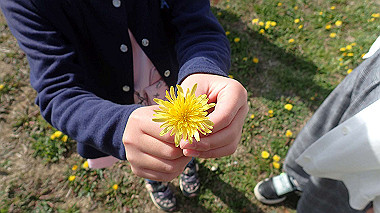 p4060373_thumb.jpg