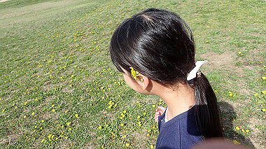 p4060380_thumb.jpg
