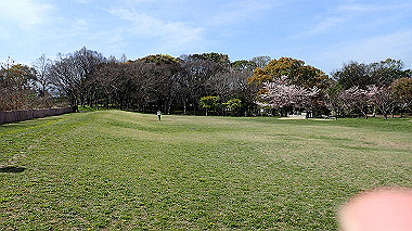 p4060383_thumb.jpg