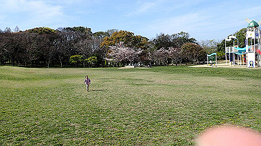p4060384_thumb.jpg