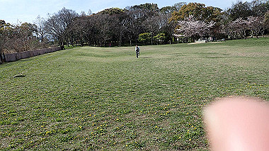 p4060385_thumb.jpg