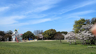 p4060402_thumb.jpg