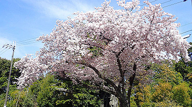 p4060406_thumb.jpg