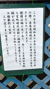 p4060416_thumb.jpg