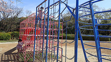 p4060423_thumb.jpg