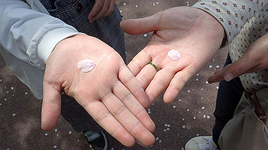 p4060437_thumb.jpg