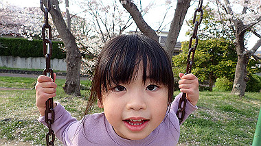 p4060440_thumb.jpg