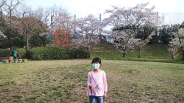 p4060441.mov_snapshot_00.01_thumb.jpg