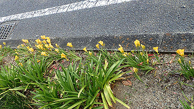 p4060458_thumb.jpg