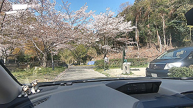 gx016071.mp4_snapshot_00.00_thumb.jpg