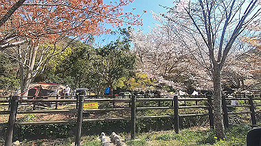 gx016071.mp4_snapshot_00.32_thumb.jpg