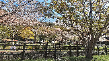 gx016071.mp4_snapshot_00.36_thumb.jpg