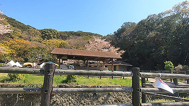 gx016071.mp4_snapshot_00.42_thumb.jpg
