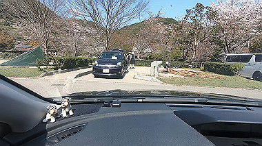 gx016084.mp4_snapshot_00.58_thumb.jpg