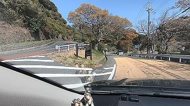 gx016084.mp4_snapshot_02.49_thumb.jpg