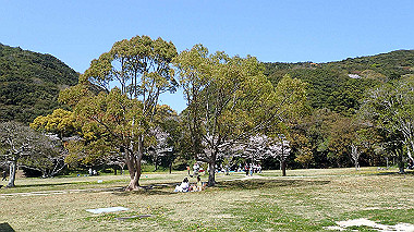 p4080463_thumb.jpg