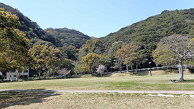 p4080464_thumb.jpg