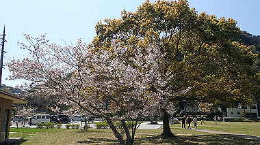 p4080465_thumb.jpg