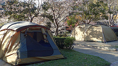 p4080492_thumb.jpg