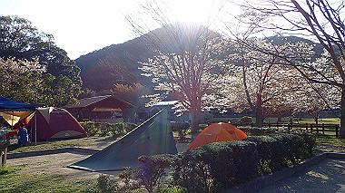 p4080494_thumb.jpg