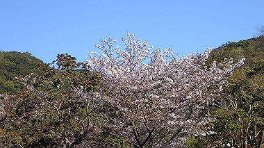 p4090522_thumb.jpg