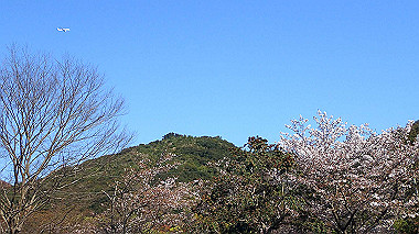 p4090523_thumb.jpg