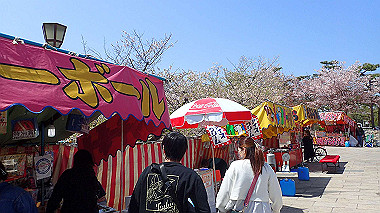 p4090544_thumb.jpg