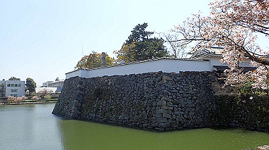p4090546_thumb.jpg