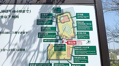 p4090549_thumb.jpg