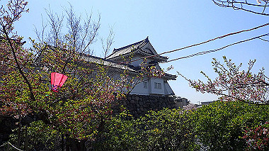p4090551_thumb.jpg