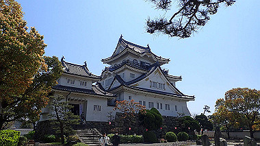 p4090557_thumb.jpg