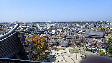 p4090566_thumb.jpg