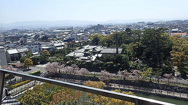 p4090574_thumb.jpg