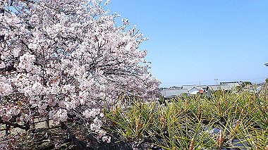 p4090585_thumb.jpg