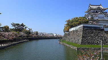 p4090617_thumb.jpg