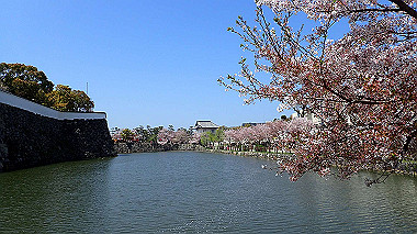 p4090630_thumb.jpg