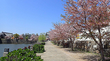 p4090632_thumb.jpg