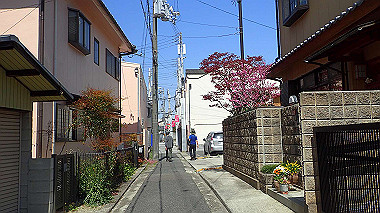 p4090661_thumb.jpg