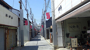 p4090665_thumb.jpg