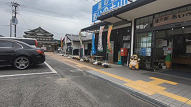 gx016346.mp4_snapshot_00.48_thumb.jpg