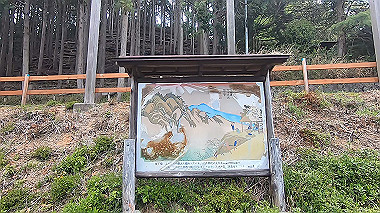 gx016350.mp4_snapshot_03.37_thumb.jpg