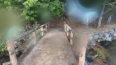 gx016374.mp4_snapshot_00.00_thumb.jpg