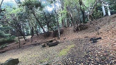 gx016374.mp4_snapshot_00.46_thumb.jpg
