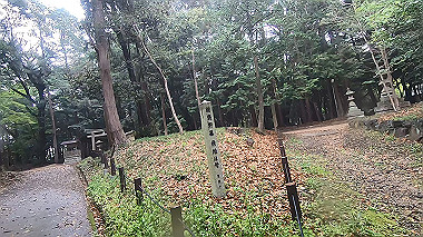 gx016374.mp4_snapshot_01.15_thumb.jpg