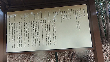 gx016374.mp4_snapshot_01.35_thumb.jpg