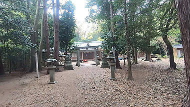 gx016375.mp4_snapshot_00.00_thumb.jpg