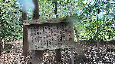 gx016376.mp4_snapshot_00.33_thumb.jpg